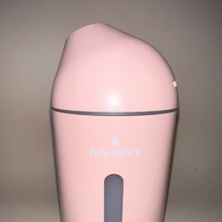Pink Facial Steamer