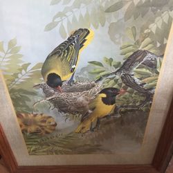 2 Simon Calburn, birds, 1975