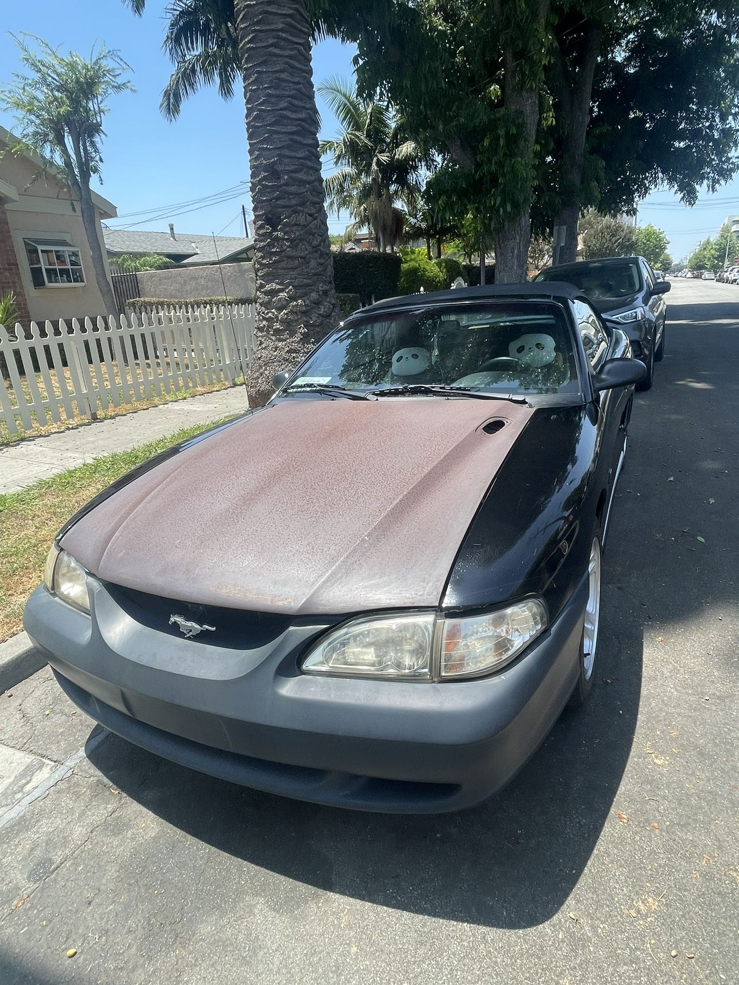 1998 Ford Mustang