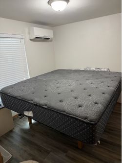 Plush King Matress