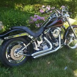 Hawley Davison Softail Custom