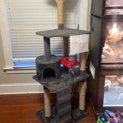 Free Cat Tree