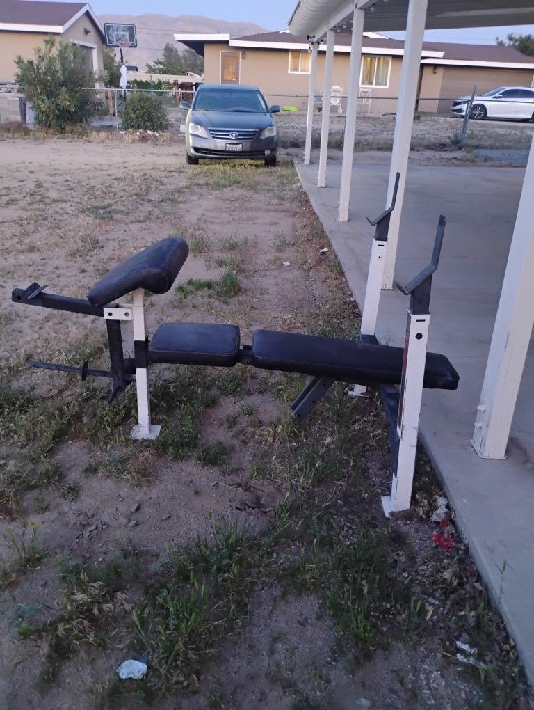 Weight Bench