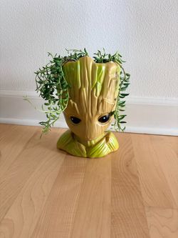 Plastic Groot Planter with Live String of Bananas Plant
