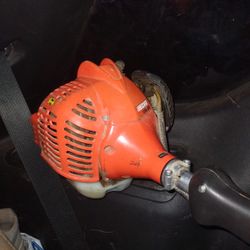 Weed Eater Echo