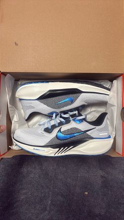 Nike air zoom Pegasus 41 shoes