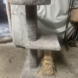 Cat Tree