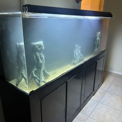 Fish Tank Aquarium Acrylic 135 Gallon 