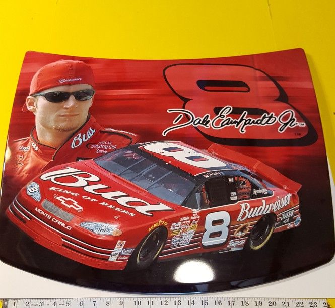 Dale Earnhardt Sr. & Jr. Collector Hoods