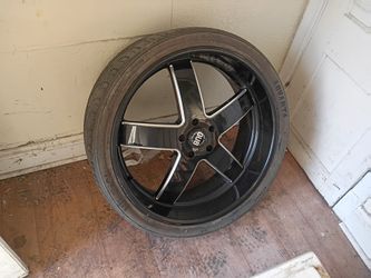 26in 5 Lugs