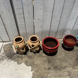 Multiple Flower Plant Succulent Pots