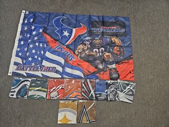 Nfl Flags 3x5 Every Team Available