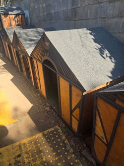 Large dog house