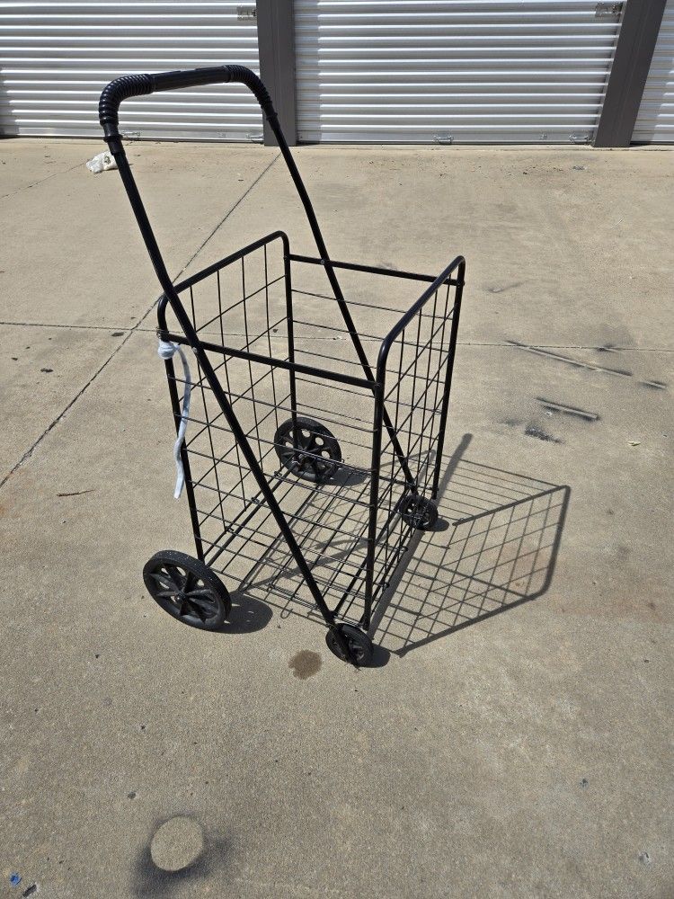 Big grocery basket
