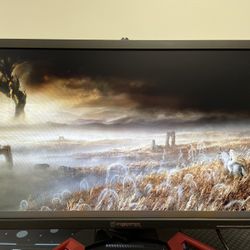 PC Monitor 24” - 1080p 180 Hz GSYNC