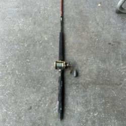 DAIWA SALTWATER ROD BIG GAME ROD