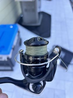 Fishing Rod and Reel