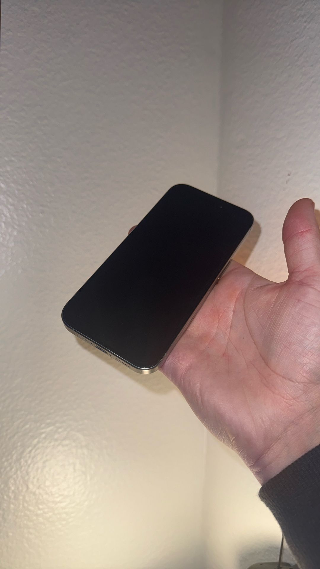 iPhone 15 Pro