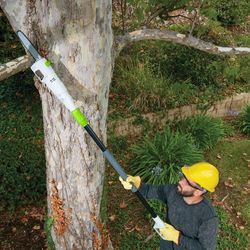 PORTLAND 6.5 Amp, 9.5 in. Electric Pole Saw