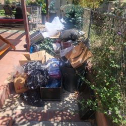 Trash Dump