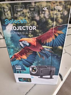 Projector multimedia