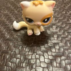 Littlest Pet Shop #521 Authentic Sitting Persian Kitty Cat Blue Eyes Tan & White