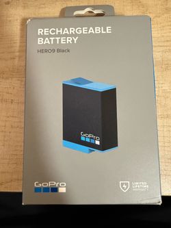 Go pro battery