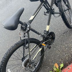 Northern Ridge mountain Bike 