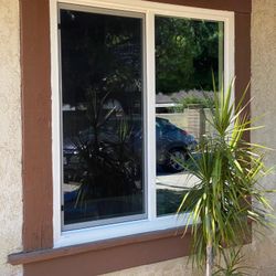 Vinyl Widows &doors 