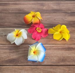 💜-HAWAIIAN HAIR CLIP BUNDLE