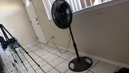 Fan