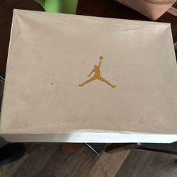 Air Jordan 10 Retro OVO