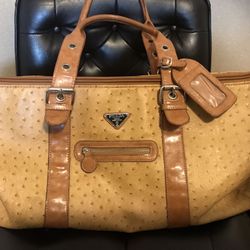 Large Carryover Carmel Color 