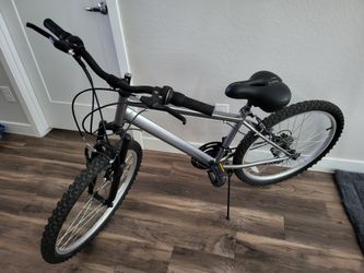 Adult bike