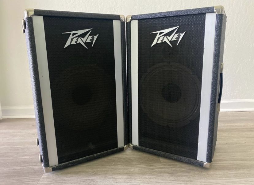 2 Peavey / Alpine 2 10” speakers & box -