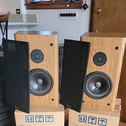 Vintage Infinity RS3001 Speakers Pair, Wood Finish, 20.5” Tall. Tested. 