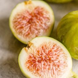 FIG CONADRIA