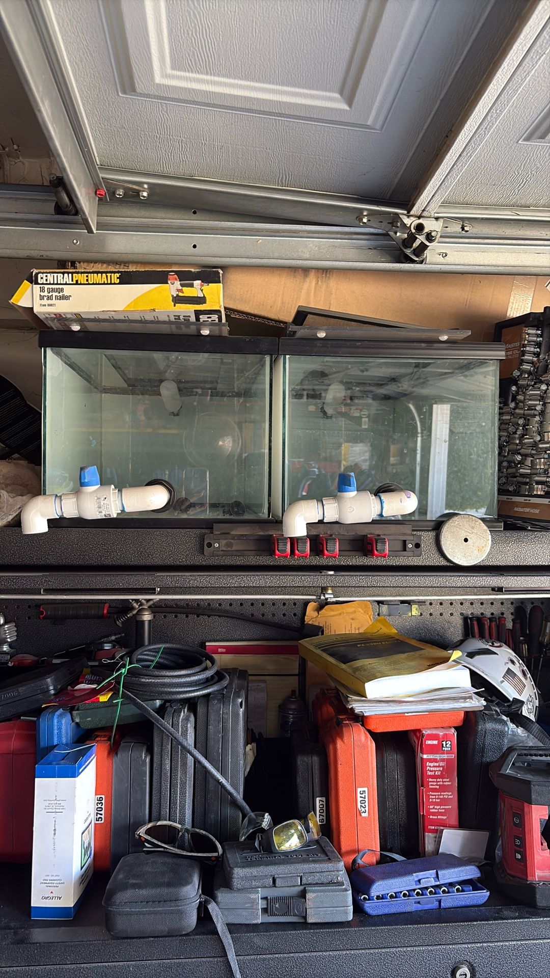 25 Gallon Breeder Tanks