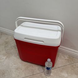 Portable cooler