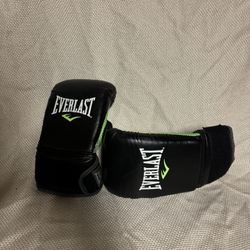 Everlast Protex Boxing Gloves