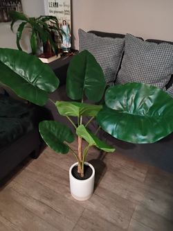 Artificial Plant Decorations 