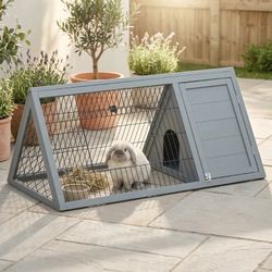 Rabbit Hutch, 45.5" Wooden Outdoor Shelter with Enclosed Run and Lockable Door, Light Gray