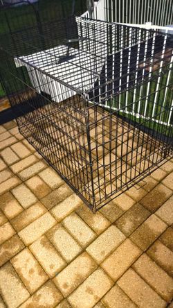 Big Dog cage