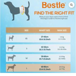 Bestle Male Dog Wrap, Disposable Dog Diapers