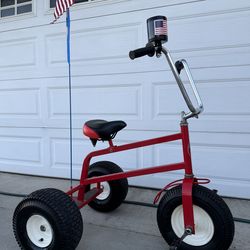 GIANT RHINO TRIKE BIKE - GREAT CONDITION! $450