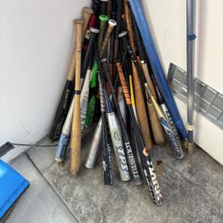 Bats