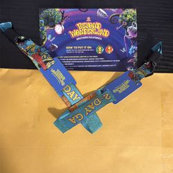 Beyond Wonderland 2026