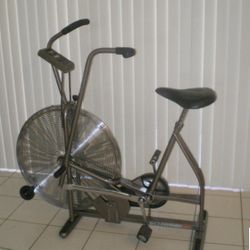 Schwinn Airdyne AD3 Exercise Bike