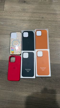 iPhone 13 Pro Max Case