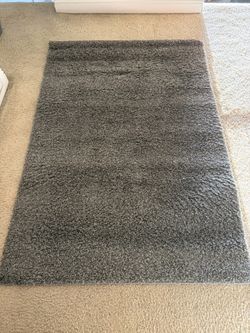 Area Rug